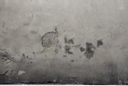 Photo Textures of Wall Plaster